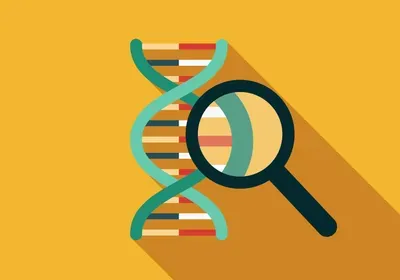 geneplaza how gay am i genetic gwas homosexual heterosexual same-sex sexual behavior geneplaza how gay am i genetic gwas homosexual heterosexual same-sex sexual behavior